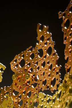 detail3