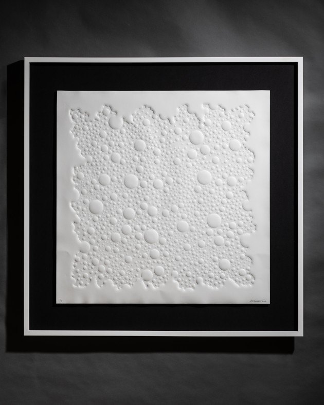 * December Snow Field 