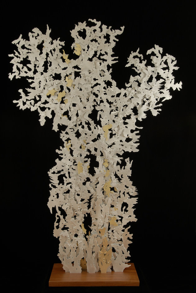 Dance of Midnight Wind